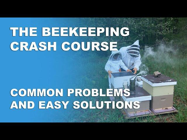 Common Beekeeping Problems - Beekeeping Basics Part 11 - Beekeeping Crash Course