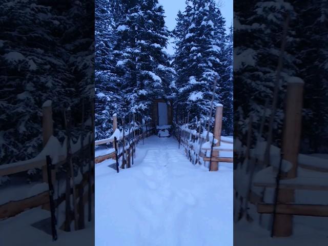 What our typical morning looks like | Outdoor Composting Toilet | Life Off Grid