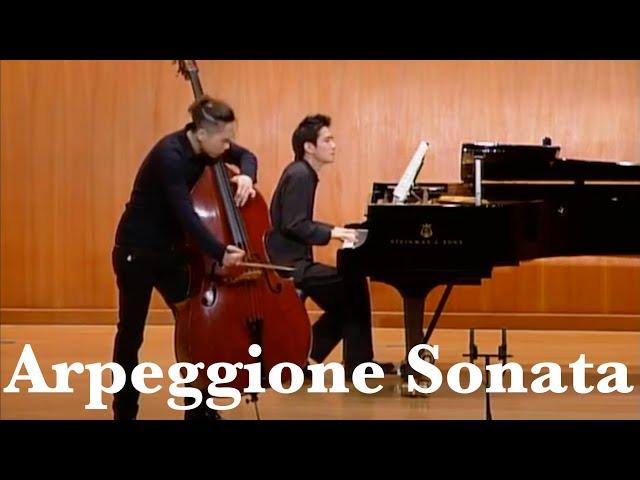 더블베이스 성민제 피아노 임동혁 슈베르트 아르페지오네 소나타 | Schubert - Arpeggione Sonata A minor Donghyek Lim & Minje Sung