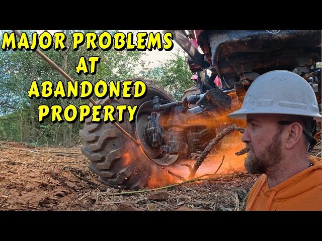 MAJOR PROGRESS BREAKS THE TRACTOR |tiny house, homesteading, off-grid cabin build DIY HOW TO tractor