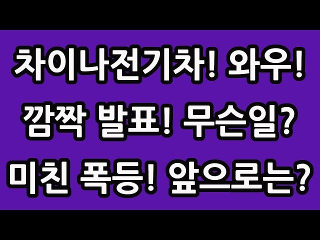 차이나 전기차 폭등 이유! 깜짝 발표! 무슨일? 중국 주식 주가 전망 TIGER 타이거 ETF SOLACTIVE 테슬라 니콜라 루시드 엔비디아 아이온큐 TQQQ SOXL TMF