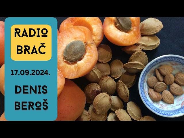 17.09.2024. - Denis Beroš - Radio Brač