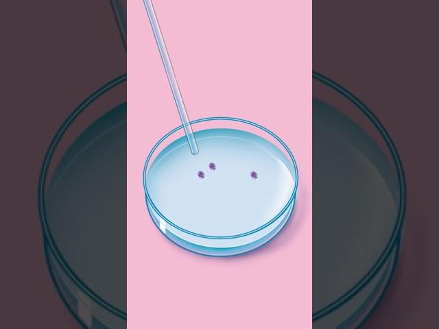 How Does IVF Work?