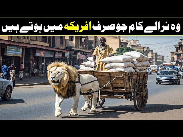 8 Interesting Facts Of Africa You Wont Bellerive In Urdu Hindi