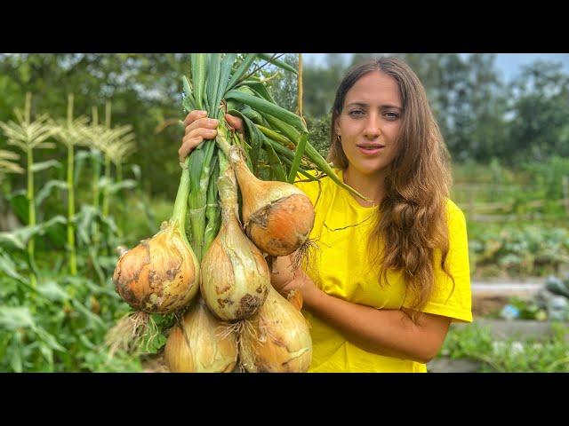 I Didn't Expect This At All | Enormous Onion | Vlogust Day 8