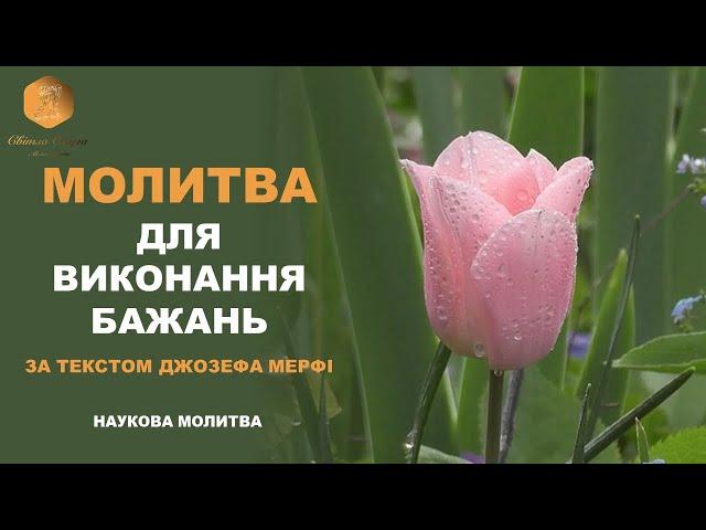 Медитація: Молитва для Здійснення Бажань за Текстом Джозефа Мерфі. ВАШ ПСИХОЛОГ