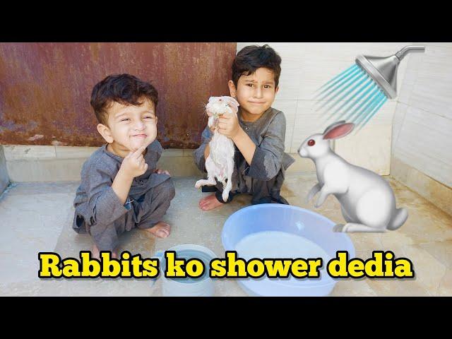 Rabbits ko nehla dia aaj  Mustafa Hanif BTS