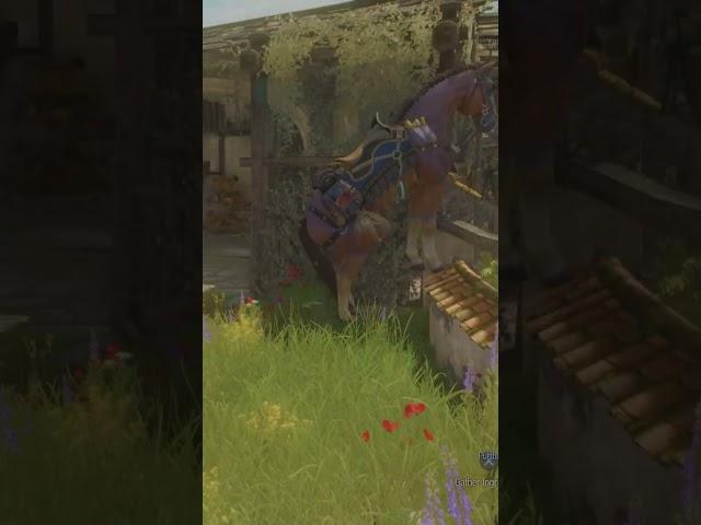 And another one #gaming #thewitcher #games #gamer #gameplay #roach #gains #gymroach