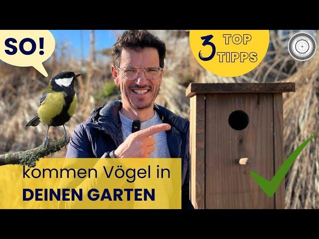 Mach deinen Garten zum Vogelparadies!!!  Die Top 3 TIPPS für Nistkästen