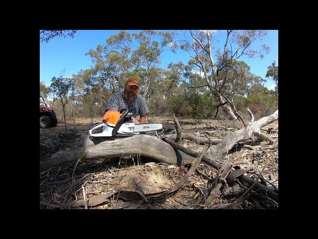 STIHL MS362C cutting Australian hardwood review with Julian Murphy