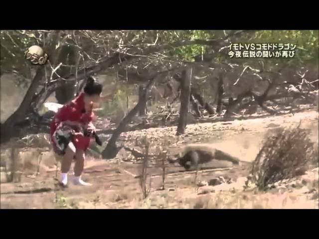 Komodo Dragon chasing Ayako Imoto on crazy japanese game show