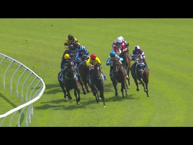 Churchill's Choice goes from LAST TO FIRST at Randwick