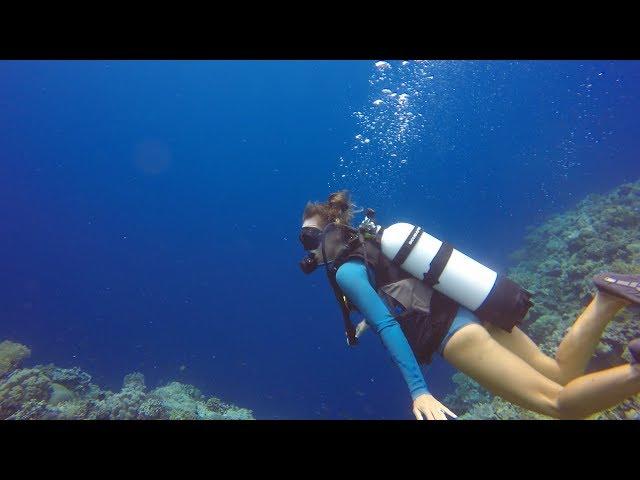 Scuba Diving Wakatobi INDONESIA on a Yacht Episode 70 (Sailing Catalpa)