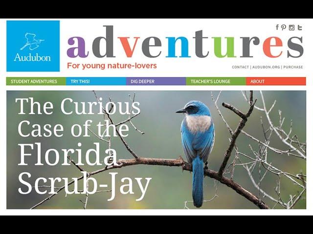 For Educators: AUDUBON ADVENTURES October 2022 webinar