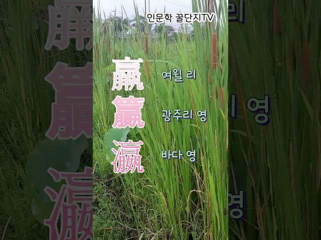 #한자공부 #한자공부 #인문학꿀단지 #한자능력검정시험 #한자