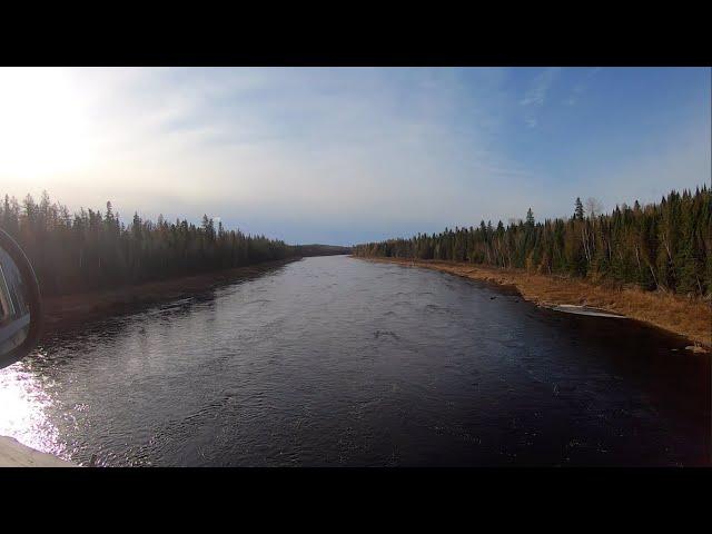 Remote Maine Moose Hunt | Late October on the Saint John