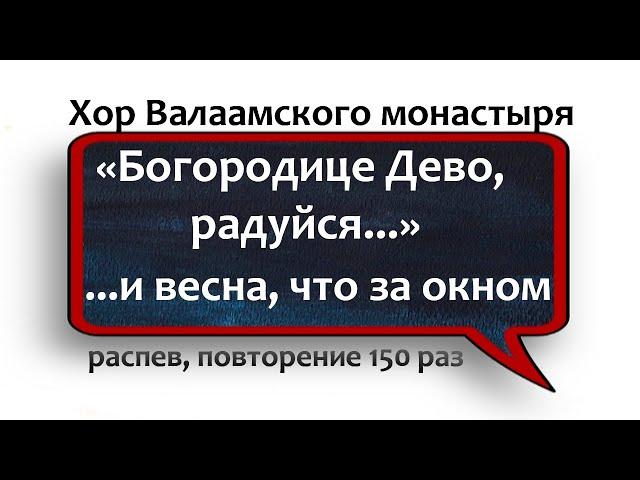 + Богородице Дево, радуйся  150 раз #незримый щит
