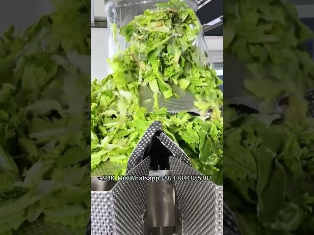 Automatic Salad Weighing and Vertical Packaging Machine