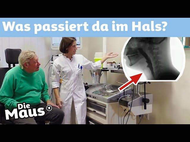 Was passiert beim Verschlucken? | DieMaus | WDR