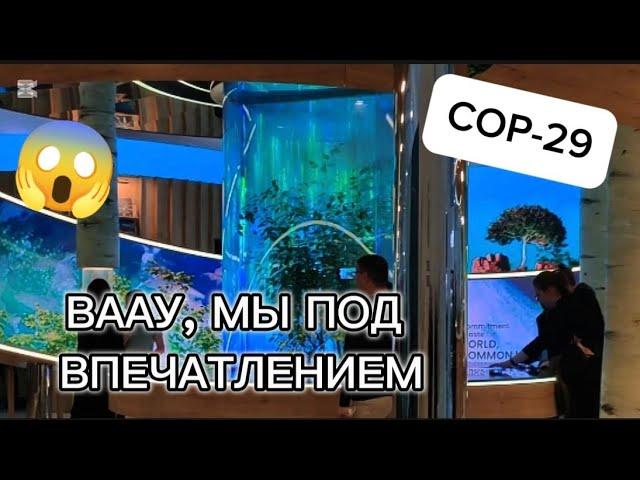 ОГО, ЗЕЛЁНАЯ ЗОНА,COP-29, ВЫСТАВКА, КАК ЖЕ ЛЮБЛЮ БАКУ!! ️ #Baku #Баку