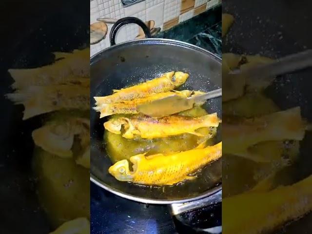 Fish Fry....️️️ #shorts #cooking #bengali #rannabanna