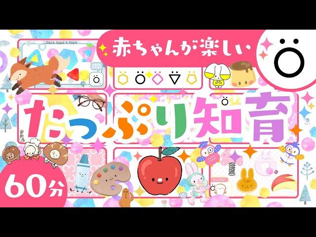 【赤ちゃん泣き止む】赤ちゃんが笑うたっぷり知育つめあわせö│泣き止む アニメ│こどものうた【知育】