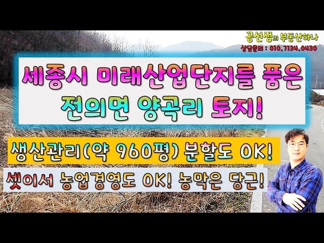 [세종시 토지] 300평 넘게 분할 가능한 텃밭 좋다! 미래산업단지를 품은 전의면 양곡리 토지, 수익Up~