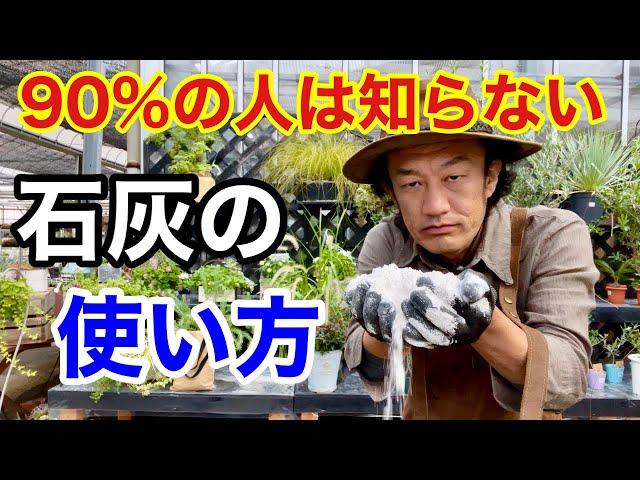 【目からウロコ】石灰は実はスーパー資材です　　　　　　【カーメン君】【園芸】【ガーデニング】【初心者】