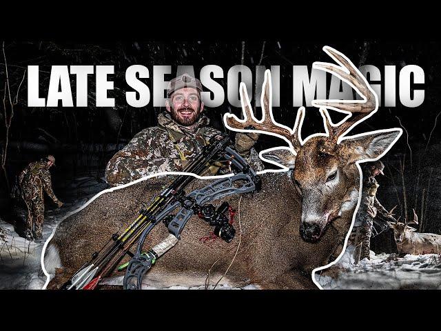 LATE SEASON WHITETAIL HUNTING | BUCK DOWN!