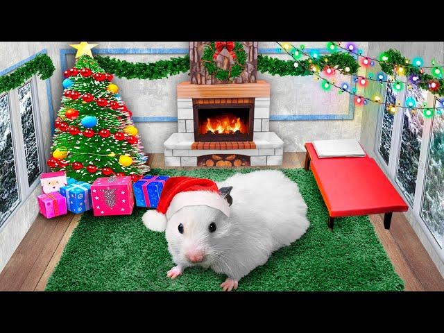  DIY Christmas House  Hamster Maze with Traps