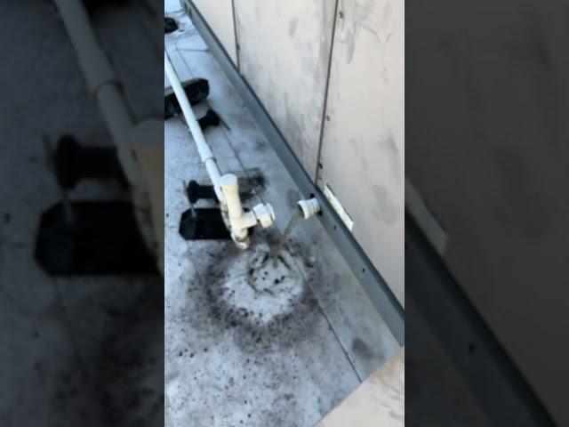 Cleaning condensate drain pan #hvac