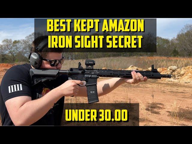 Best Kept Amazon Iron Sights Secret