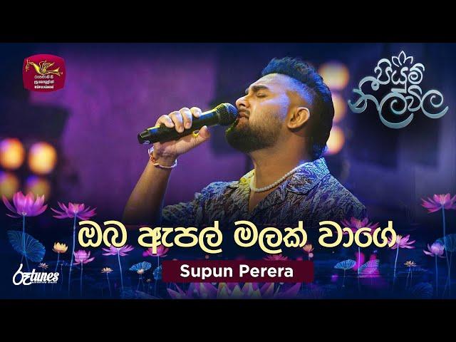 Oba Apple Malak Wage | ඔබ ඇපල් මලක් වාගේ | Supun Perera | Piyum Neela Vila | Roo Tunes