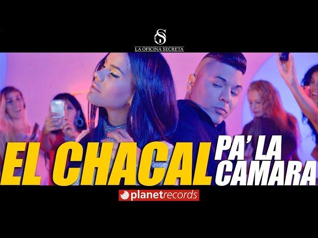 CHACAL - Pa' La Camara (Video Oficial by FREDDY LOONS) Reggaeton Cubano Cubaton