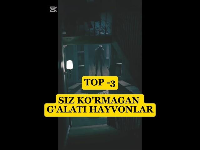 Top 3 siz KO'RMAGAN g'ALATI hayvonlar