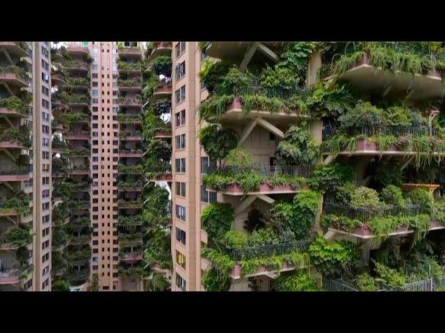 Plant-covered Chinese apartment buildings