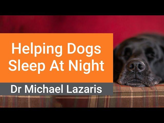 How To Help Your Dog Sleep At Night - Simple Vet Tips