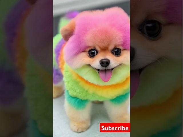 https://youtu.be/CUkjZB2VYt8?si=PHKk_p17oDBusmoBCute colourful teacup puppy  #cute #toy #shortvideo