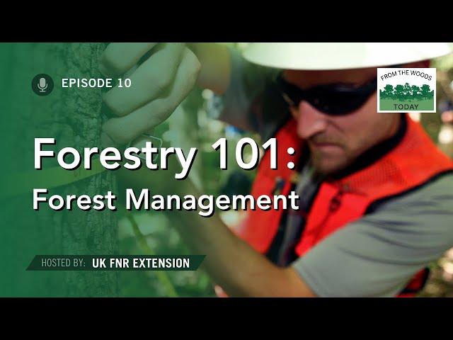 Forestry 101 Part 1 - From the Woods Today - Episode 10