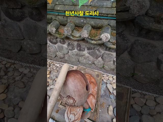 #천년사찰#구미도리사#소원성취 #korea