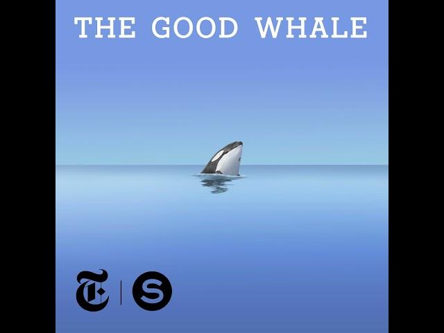 The Good Whale - Trailer