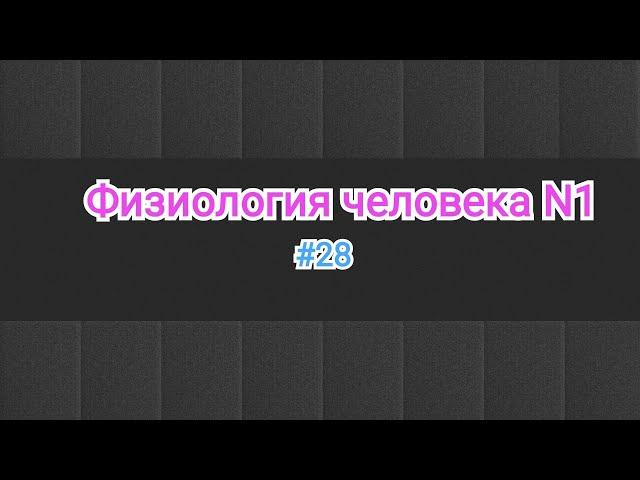 Физиология. Сердечный цикл (систола и диастола).#28