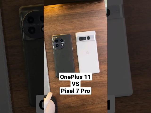 OnePlus 11 VS Pixel 7 Pro Camera Comparison! #pixel7pro