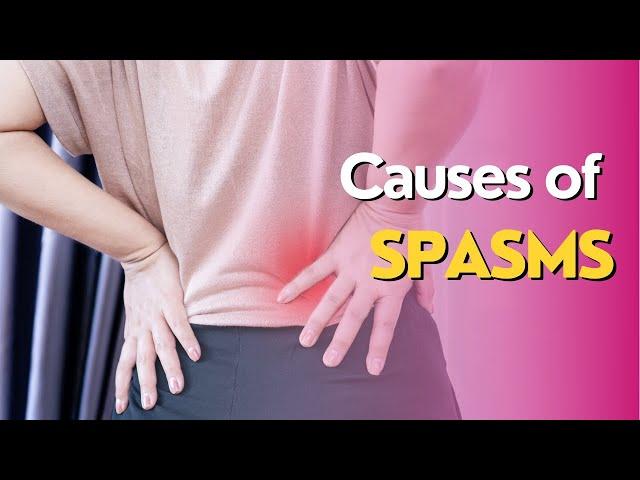 Causes of Back Spasms | Health Insiders