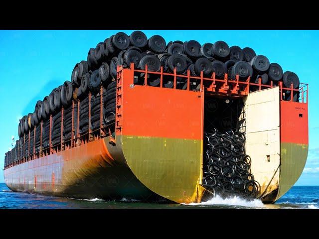 They Dumped 2 Million Tires Into The Ocean. After 50 Years, Everyone Was Shocked by The Result