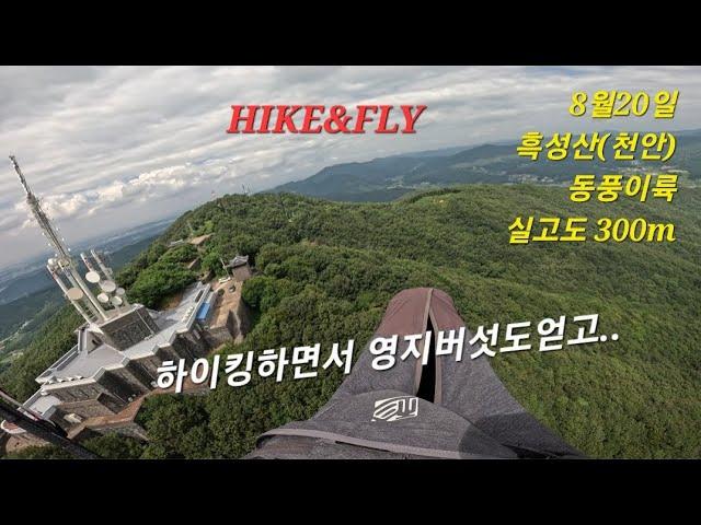 하이킹도 하고 영지버섯도 얻고.... paragliding in Korea