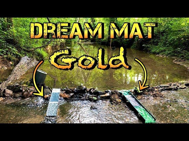 Amazing Day Gold Prospecting - 8 Buckets with consistent GOLD