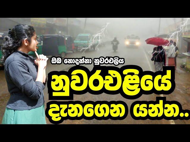 නුවරඑළියේ දැනගෙන යන්න | nuwara eliya travel places travel with udeshi