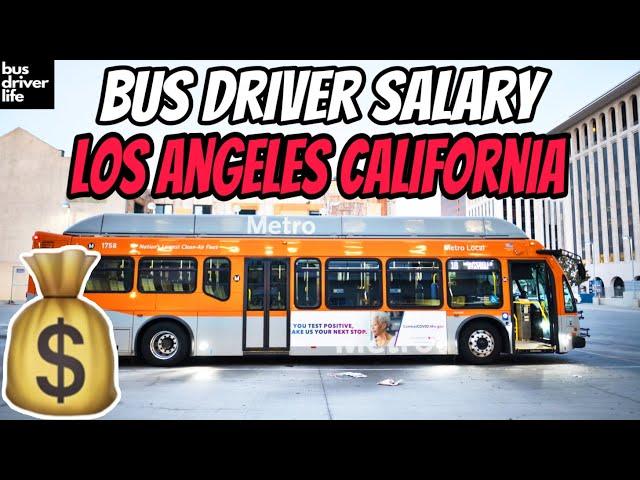 How Much Bus Drivers In Los Angeles, CA Earn | Bus Driver Salary!