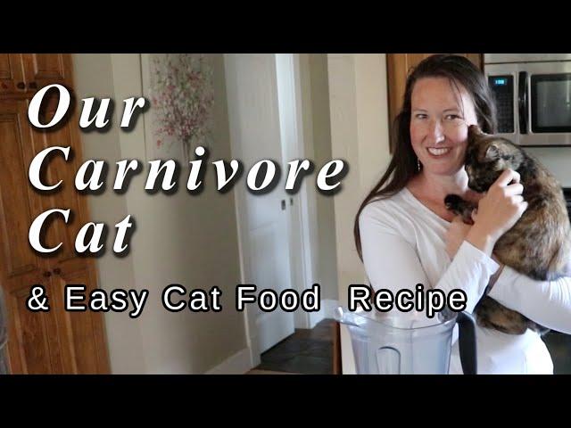 Our Raw Food Cat & Cat Food Recipe: Health Home and Happiness